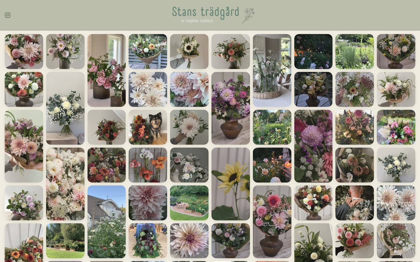 Hemsida för Stans trädgård, Blomsterhandel